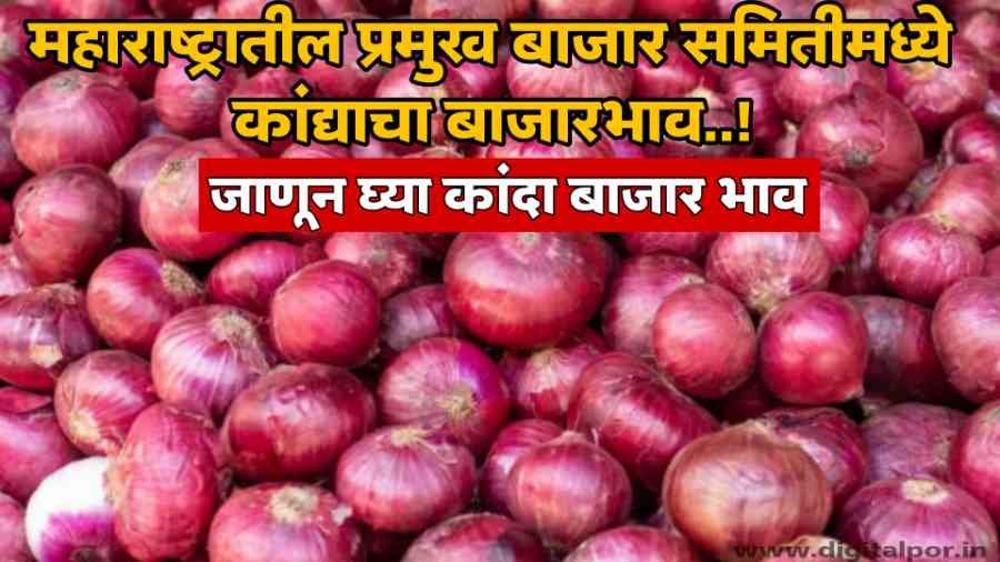 Onion Market in Maharashtra