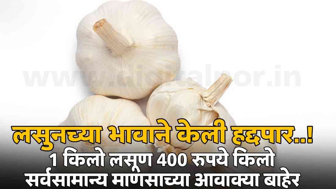 Garlic Price