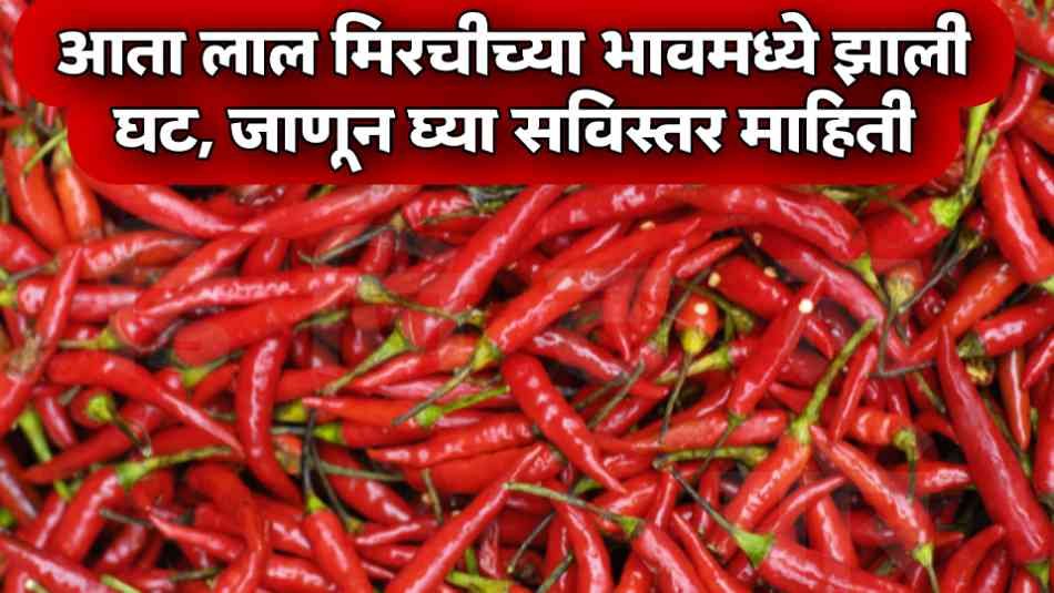 1 kg red Chili price: