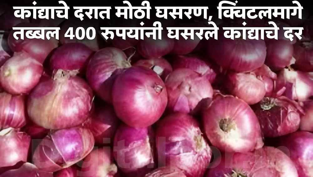 Onion Price Today