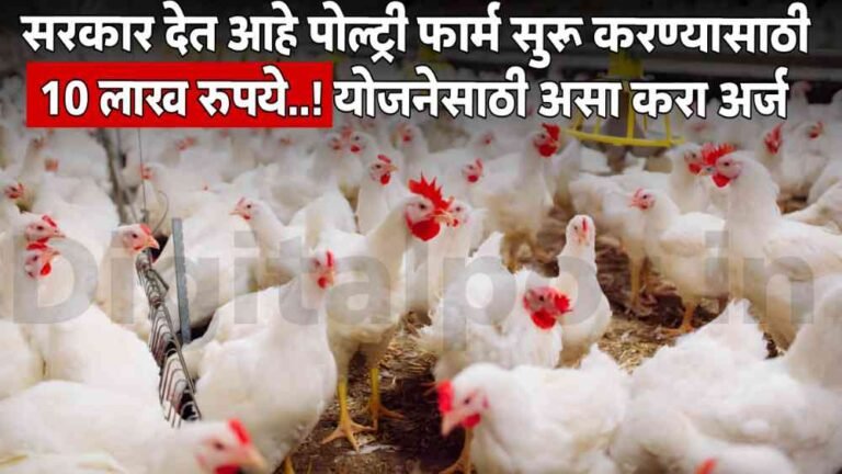 Poultry Farm Loan
