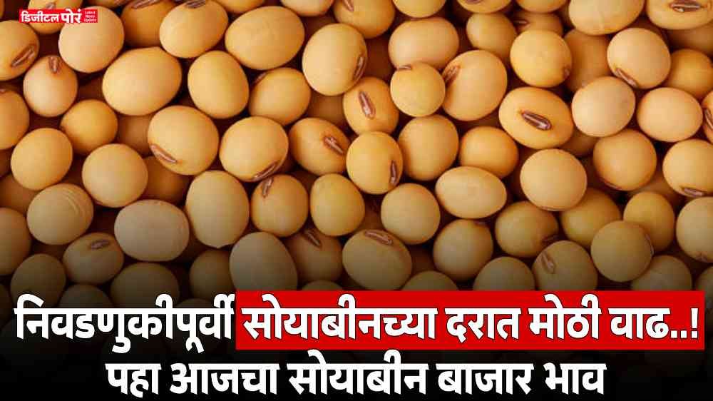 Soyabean Rate Today