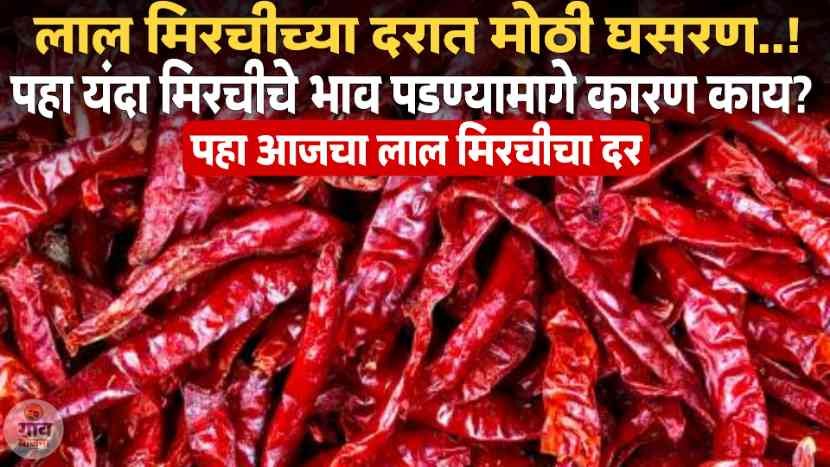 Red Chilli Price