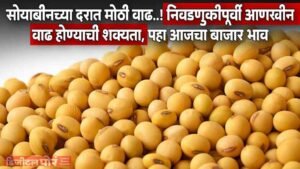 Soyabean Rate Today